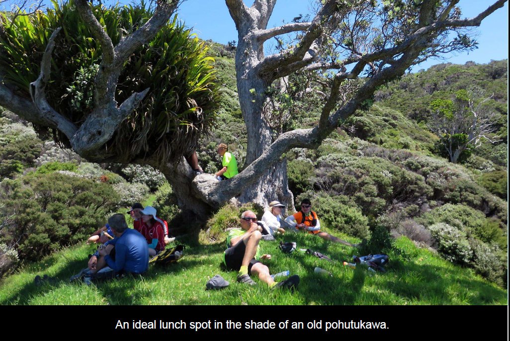 coro201522.jpg (324586 bytes)